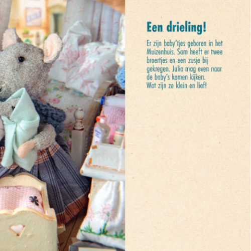 uitgeverij gottmer kartonboek het muizenhuis - een drieling