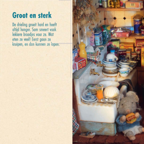 uitgeverij gottmer kartonboek het muizenhuis - een drieling