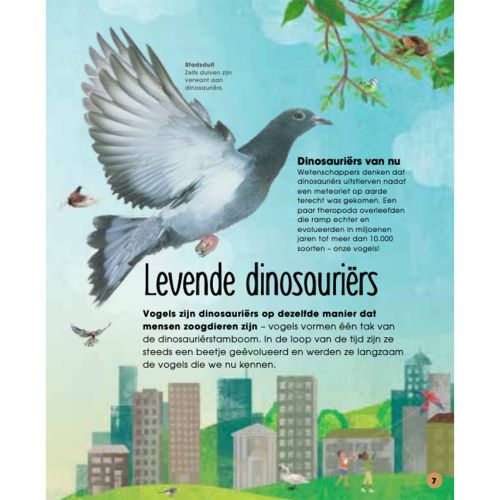uitgeverij lannoo de wonderlijke wereld van vogels