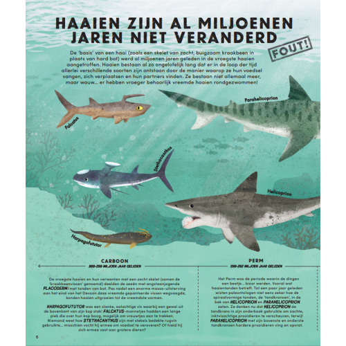 uitgeverij lemniscaat alles wat je weet over haaien is fout!