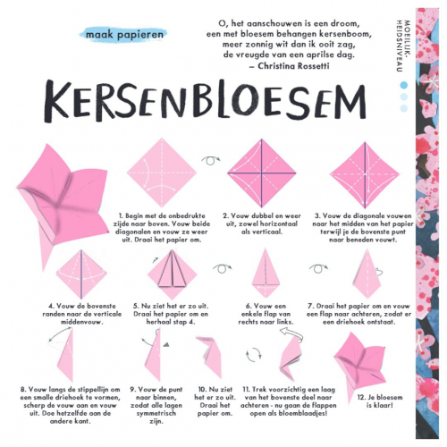 uitgeverij lemniscaat bloemenorigami