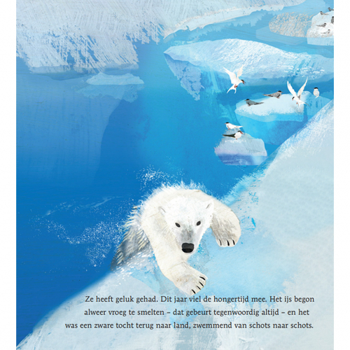 uitgeverij lemniscaat de ijsreis van de ijsbeer