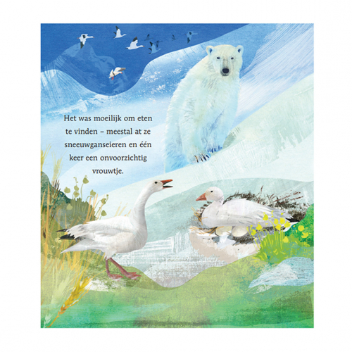 uitgeverij lemniscaat de ijsreis van de ijsbeer
