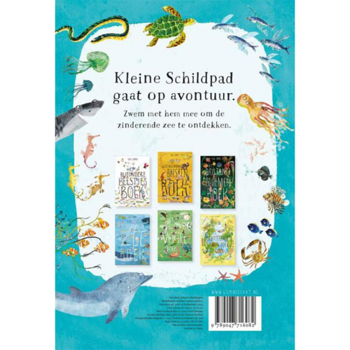 uitgeverij lemniscaat kartonboek het zeeboek van kleine schildpad