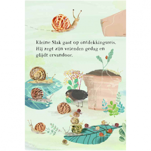 uitgeverij lemniscaat kartonboek het beestjesboek van kleine slak
