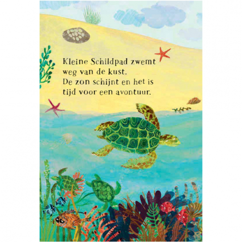uitgeverij lemniscaat kartonboek het zeeboek van kleine schildpad