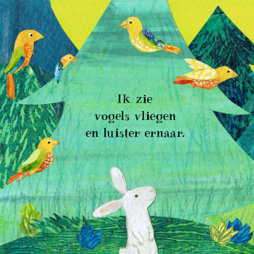 uitgeverij lemniscaat kartonboek klein konijn