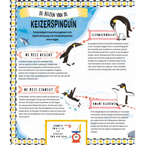 uitgeverij lemniscaat landkaarten voor pinguïns