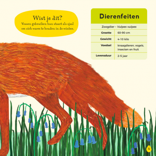 uitgeverij lemniscaat mijn eerste bosdierenboek