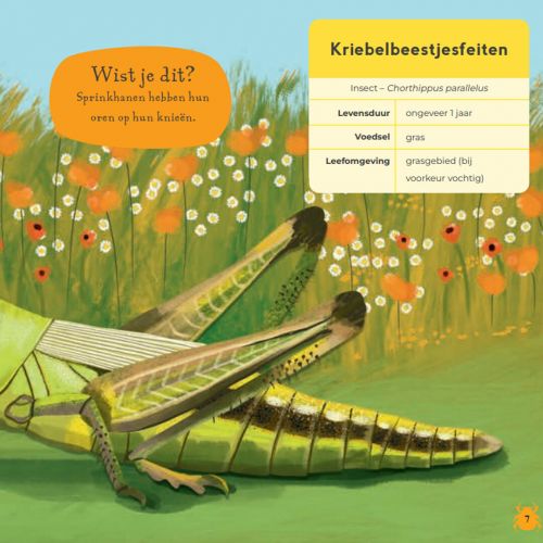 uitgeverij lemniscaat mijn eerste kriebelbeestjesboek
