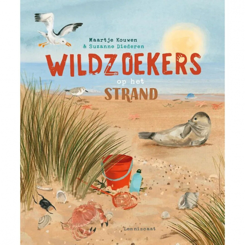 uitgeverij lemniscaat wildzoekers op het strand