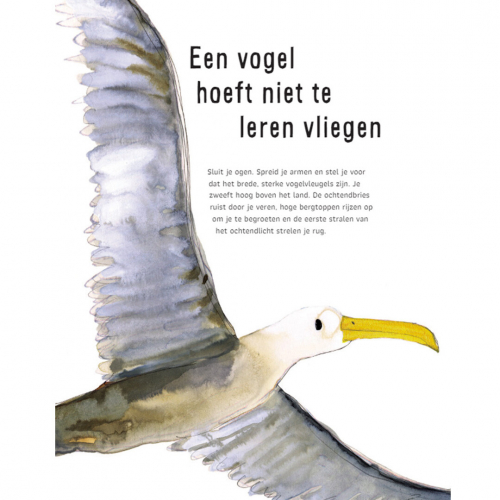 uitgeverij lemniscaat zo voelt het om een vogel te zijn