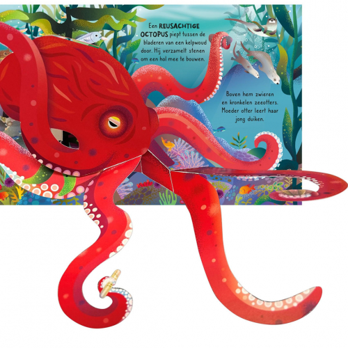 uitgeverij usborne pop-upboek de oceaan