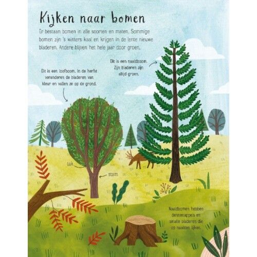 uitgeverij usborne eerste stickerboek bomen
