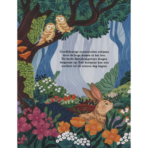 veltman uitgevers flapjesboek zoek & vind - in het bos