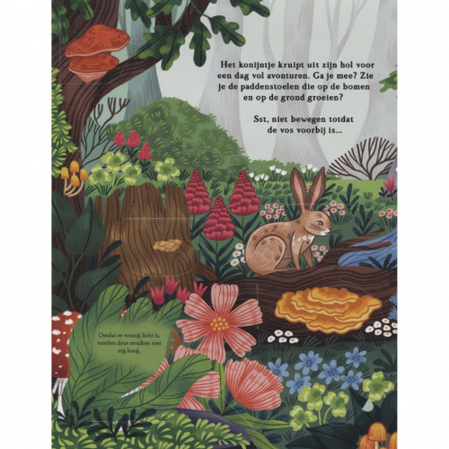 veltman uitgevers flapjesboek zoek & vind - in het bos