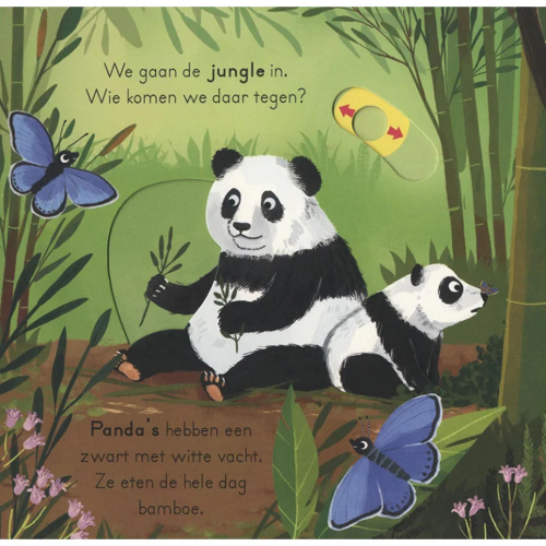 uitgeverij veltman in de jungle - voor kleine ontdekkingsreizigers