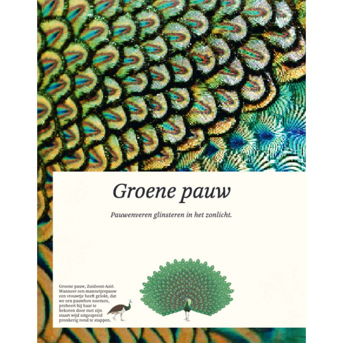 uitgeverij lannoo het dikke boek van alle bijzondere vogels
