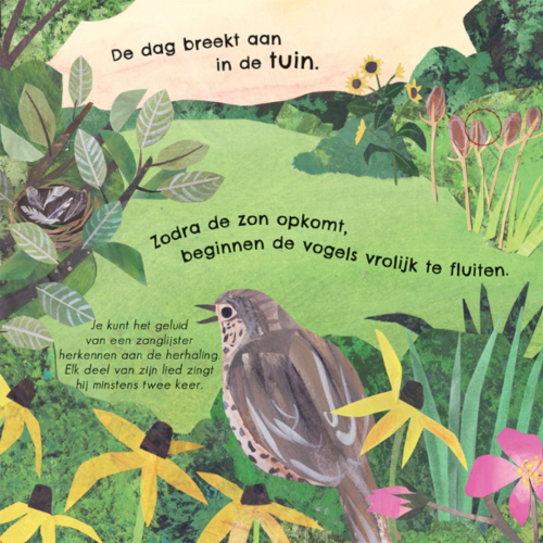 veltman uitgevers geluidenboek 24 unieke vogelgeluiden en liedjes