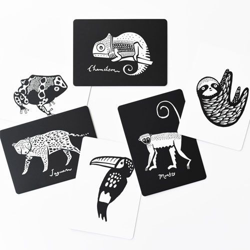 wee gallery babykaarten - rainforest collection (6st)