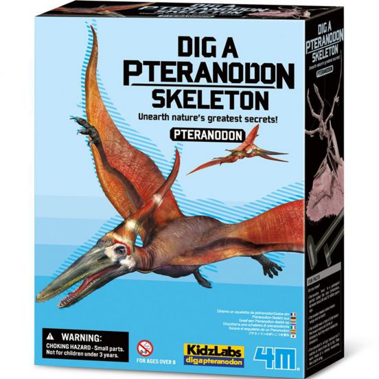 4m dinosaurus opgraven - pteranodon
