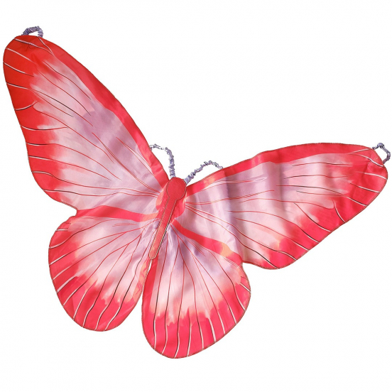 ginger ray vleugels vlinder 