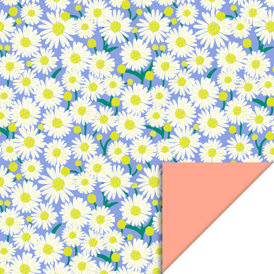 house of products inpakpapier daisy blue - salmon - 3 m  