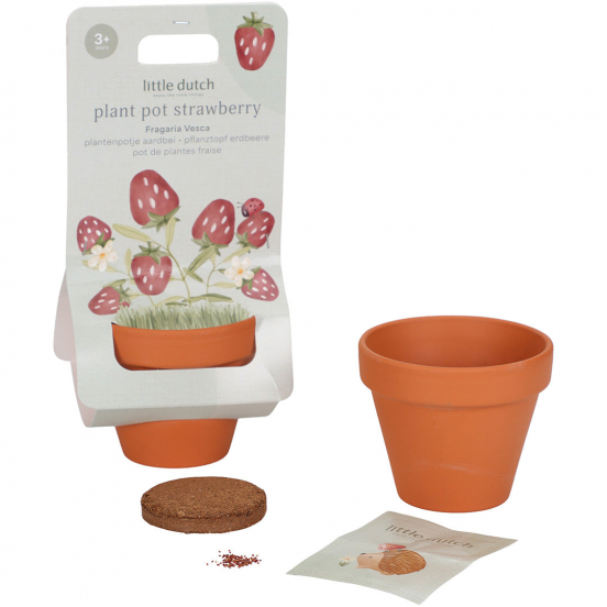 little dutch plantenpotje aardbei