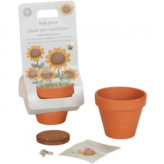 little dutch plantenpotje zonnebloem