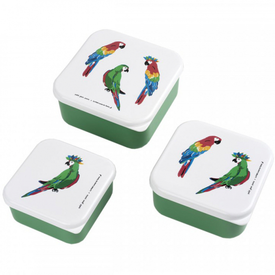 petit jour lunchbox set papegaaien - 3st