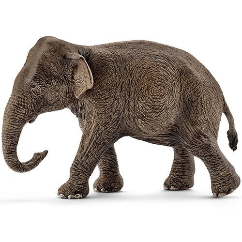 schleich wild life aziatische olifantenkoe - 13 cm