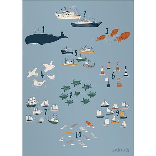 sebra poster getallen - seven seas 