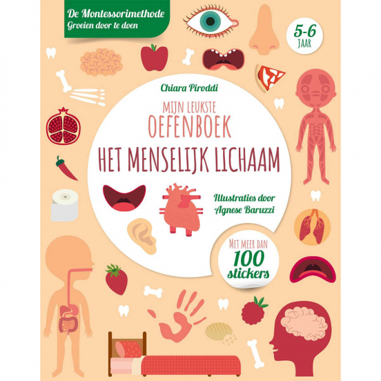 uitgeverij rebo mijn leukste oefenboek - het menselijk lichaam